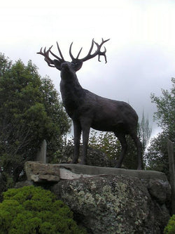 Mossburn deer capital of New Zealand