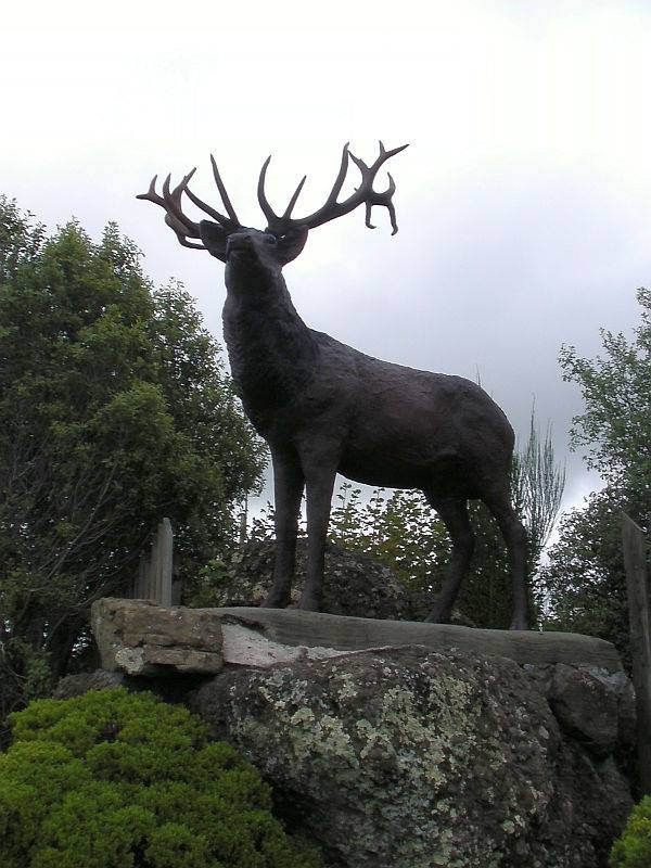 Mossburn deer capital of New Zealand