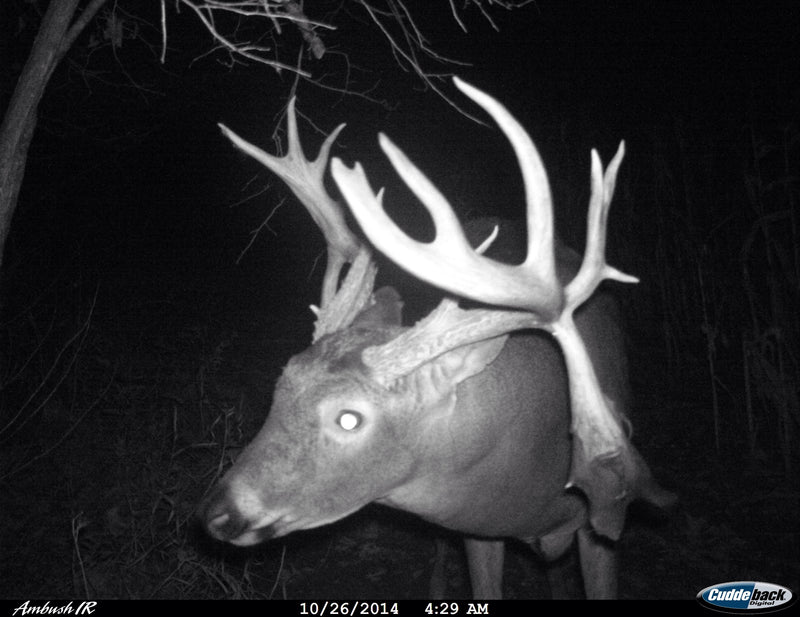cuddeback ir camera